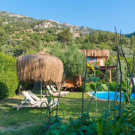 Pure Life Organic * Ολουντενίζ