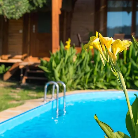Villa Pure Life Organic