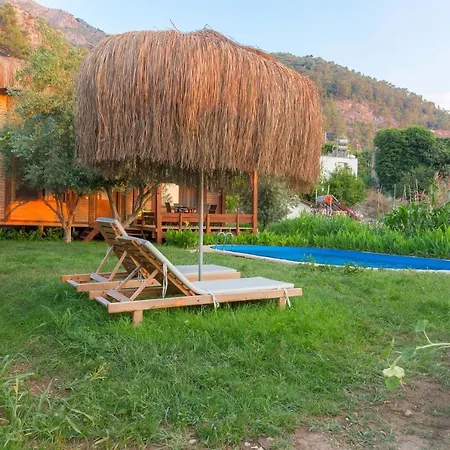 Pure Life Organic * Ölüdeniz